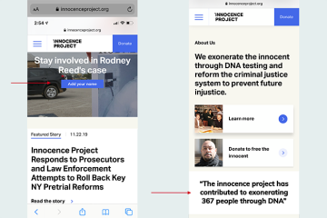 The innocence project_fall2019